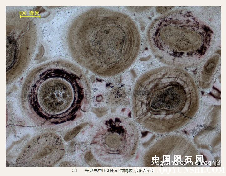 360截图20160930151128541.jpg