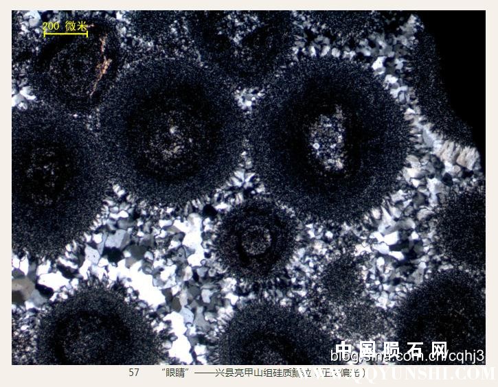 360截图20160930151230476.jpg