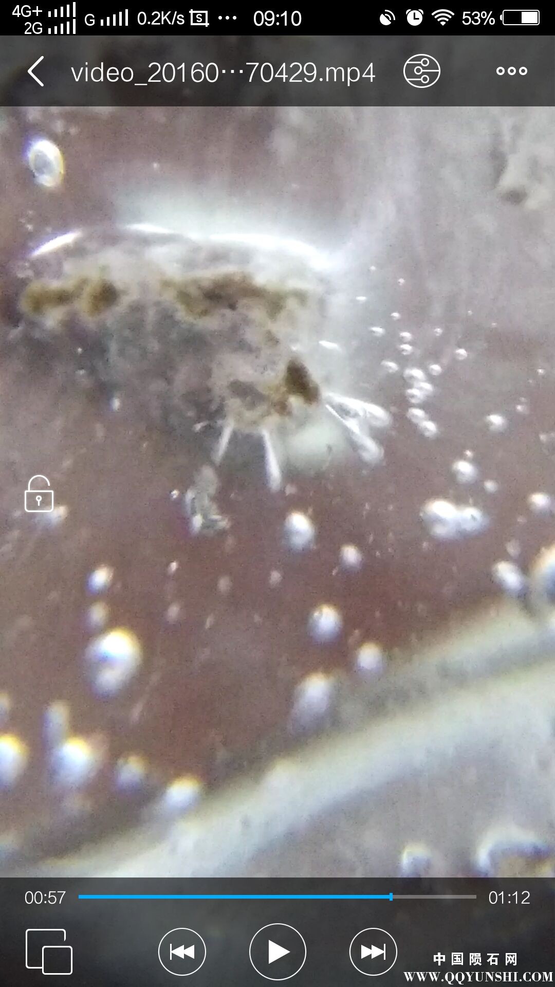 60倍放大