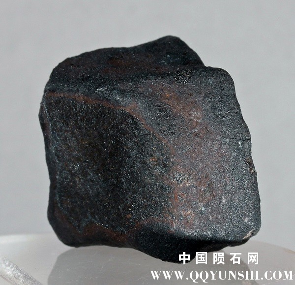 tm1443-B.jpg