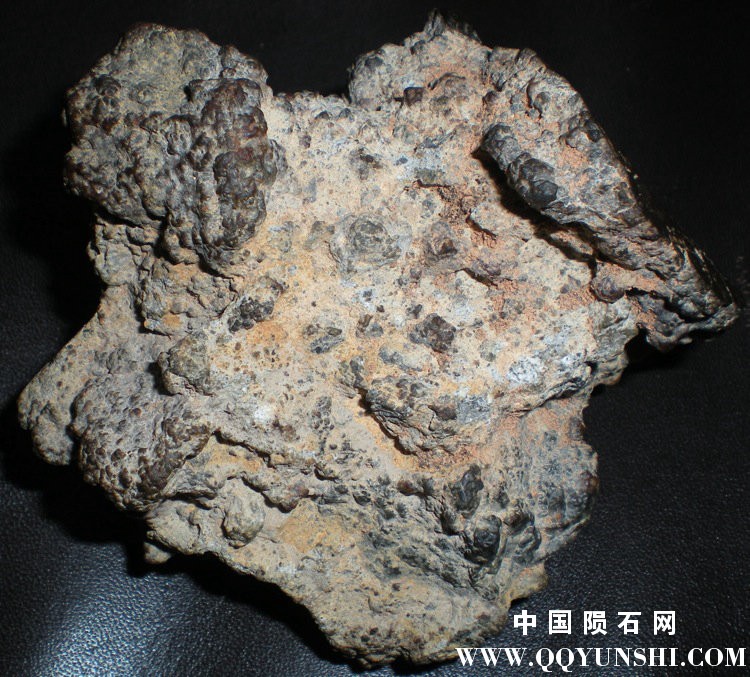 NWA3197，反常古铜钙无粒陨石 DSCN3494(1).jpg