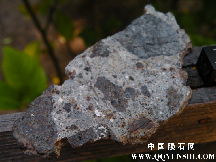 DSCN2110.jpg