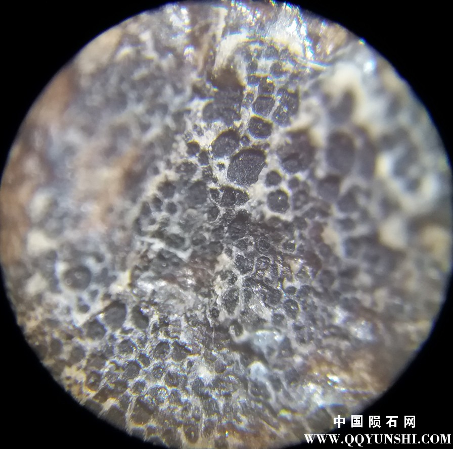 疑似陨石9.jpg