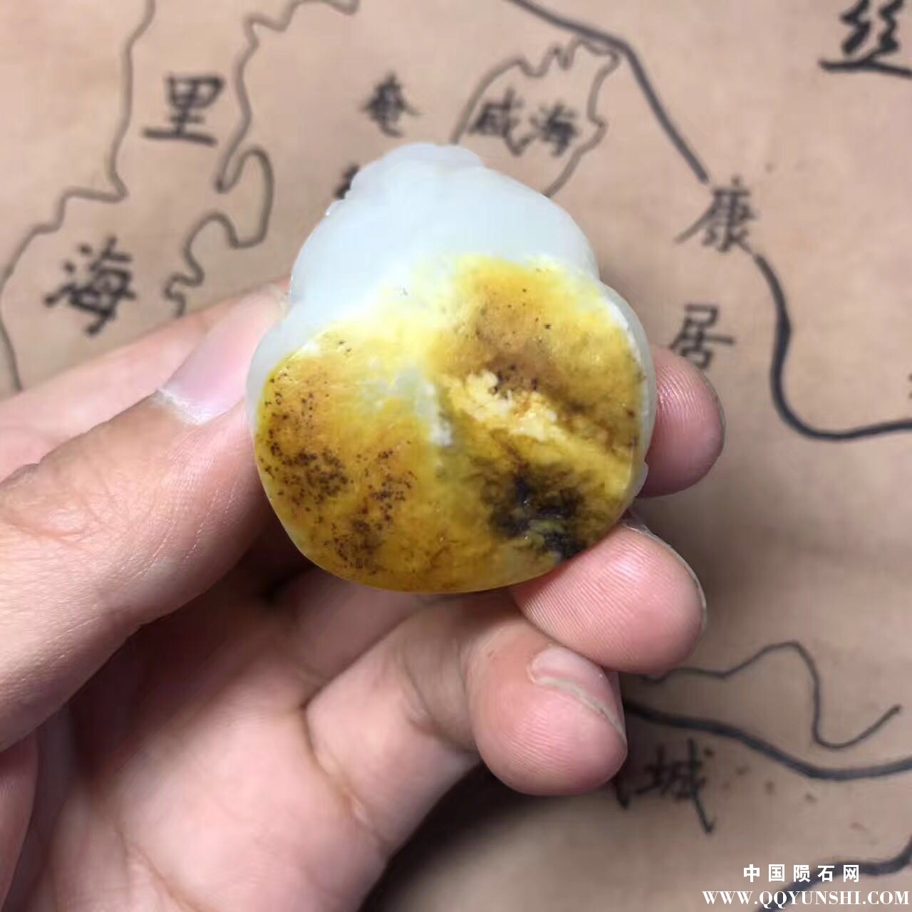 微信图片_20170329143539.jpg