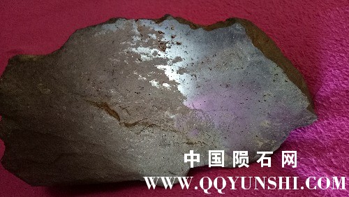 IMG20170313100408.jpg