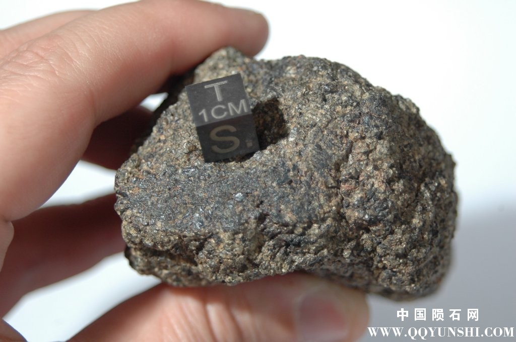 火星陨石 Ksar Ghilane 002.jpg