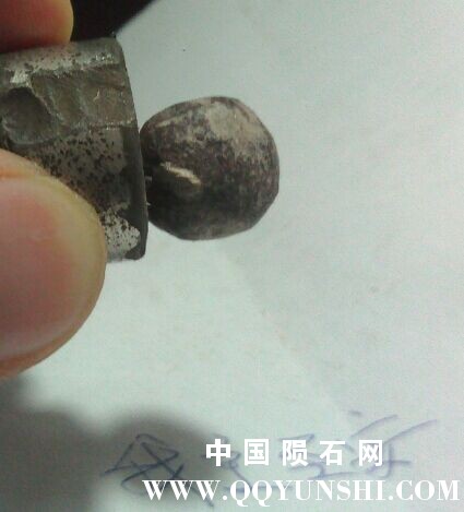 QQ图片20170503121800.jpg