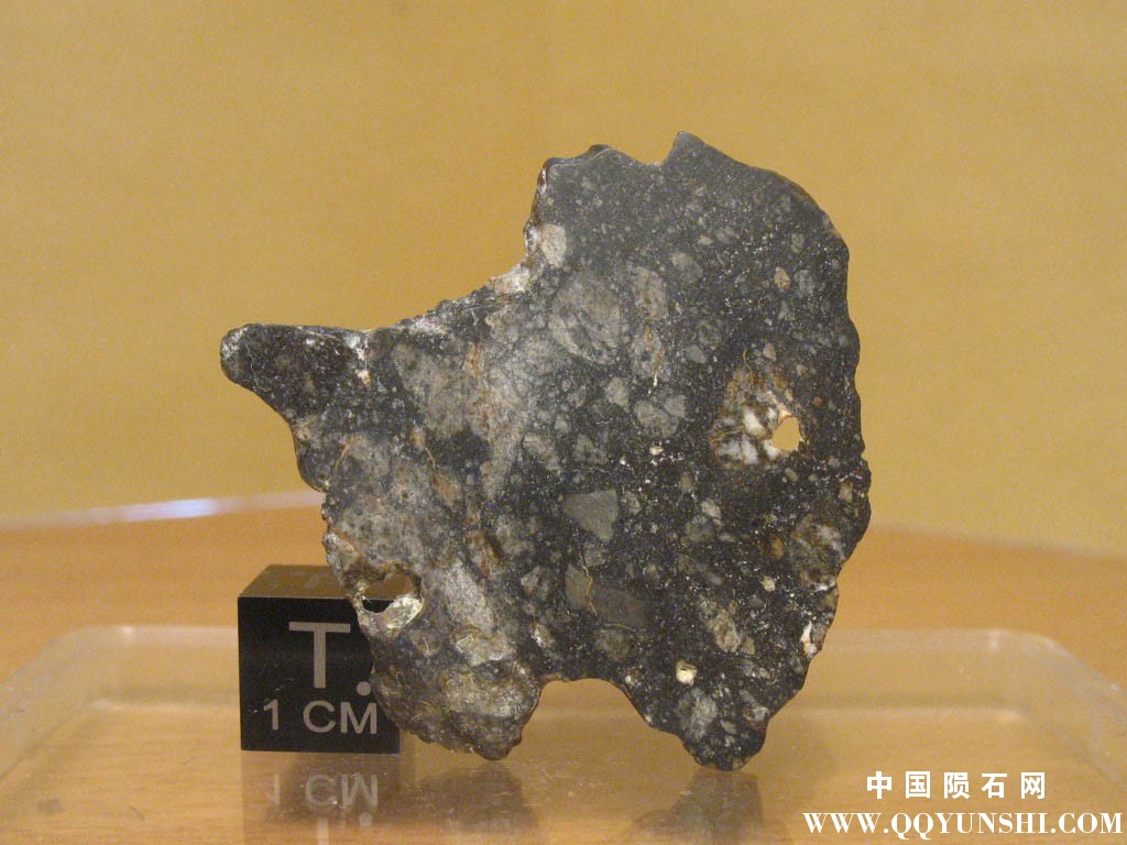 灶神星陨石NWA 8266 eucrite-5.jpg