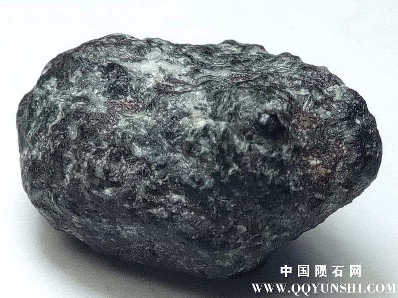 像只老鼠