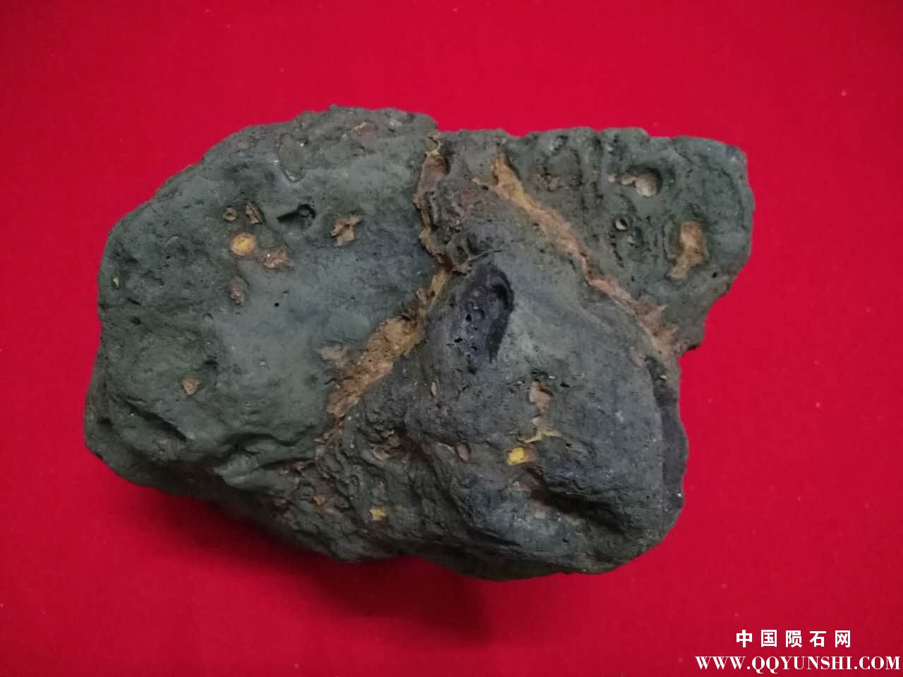 站立俯视.jpg