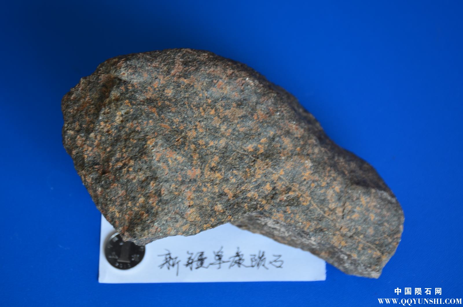 疑似陨石8.JPG