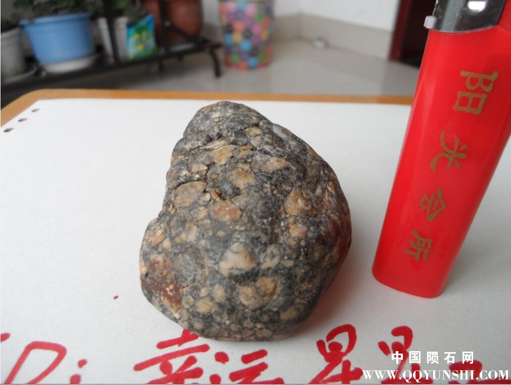 QQ截图20170329112707.jpg