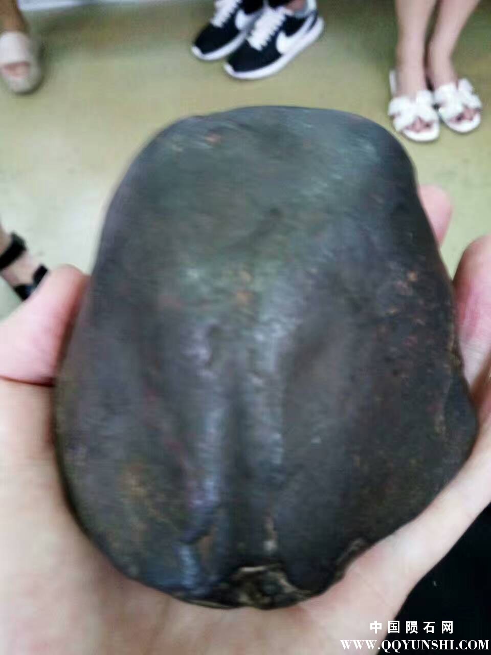 微信图片_20170604190101.jpg