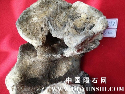 IMG20170212124538.jpg