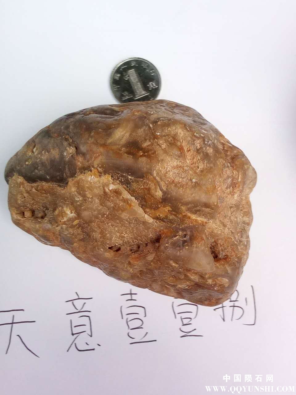 在建筑材料是发现