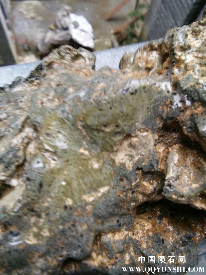 QQ图片20170606201510.jpg