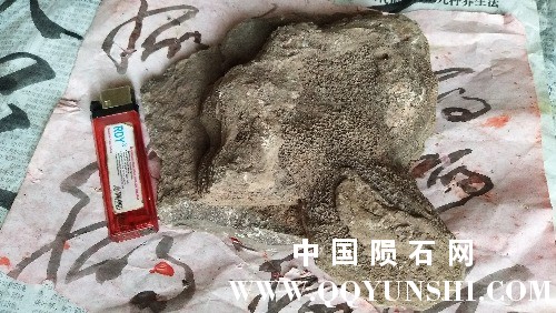 IMG_20170612_174238.jpg