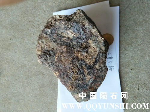 IMG20170617093431.jpg