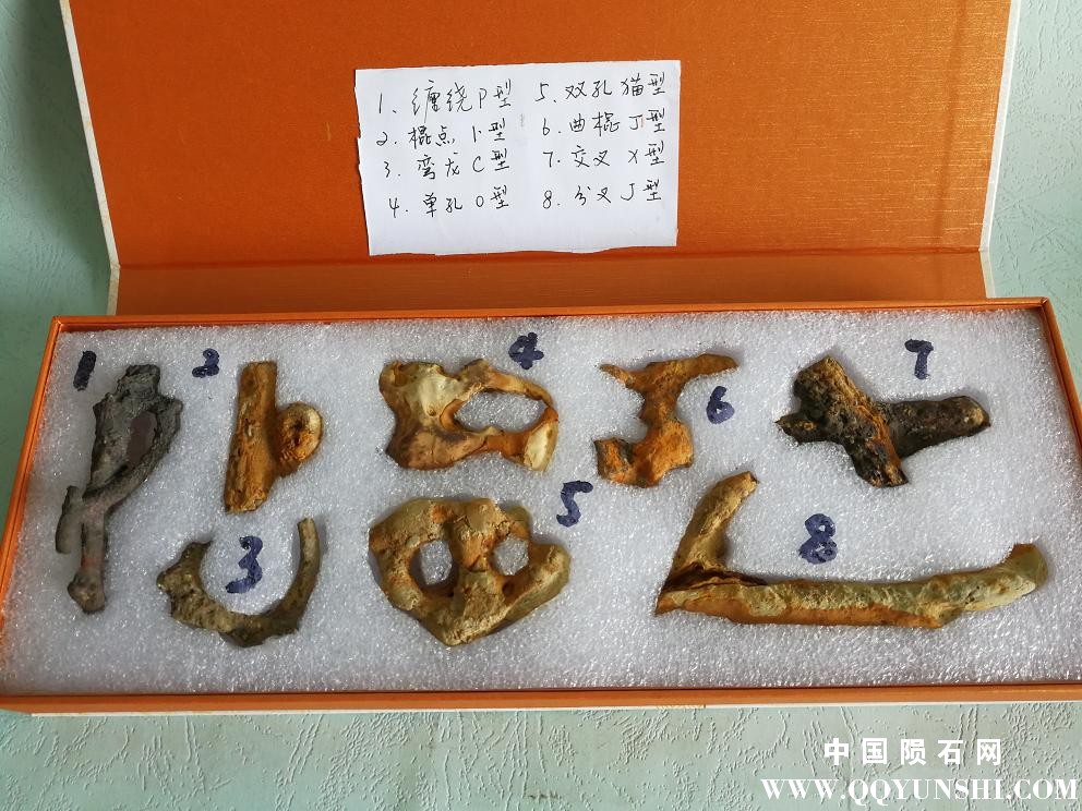 特殊形态的太湖Sidetrite