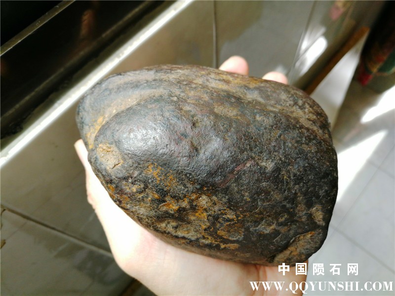 金属陨石IMG_20170624_111005.jpg