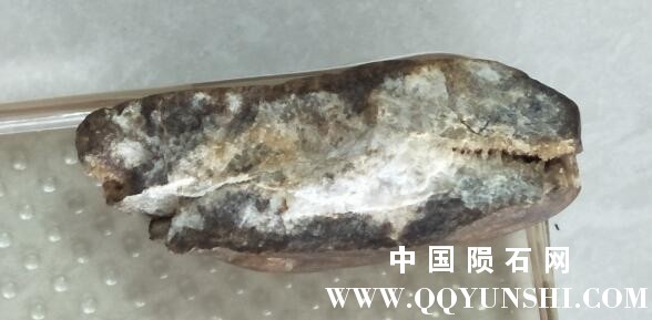 QQ图片20170703124004.jpg