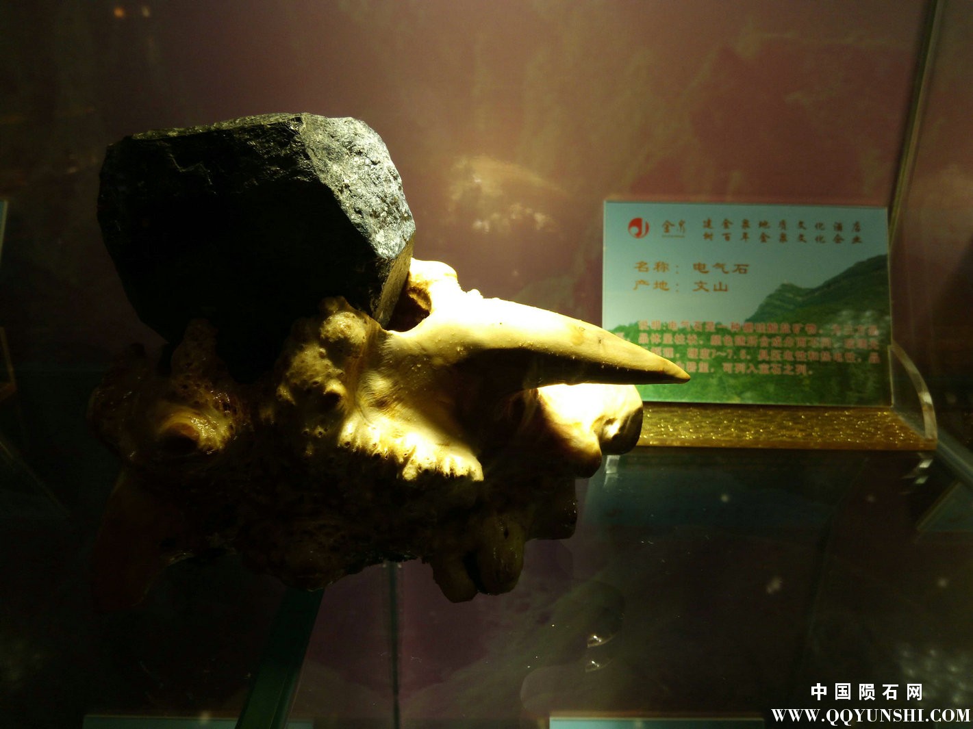 照片 183.jpg