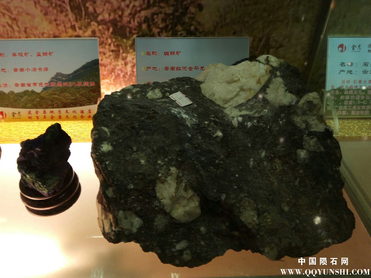 照片 196.jpg