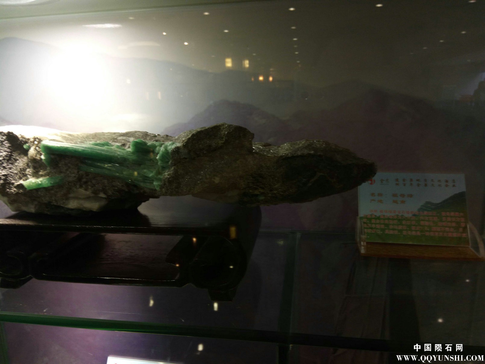 照片 198.jpg