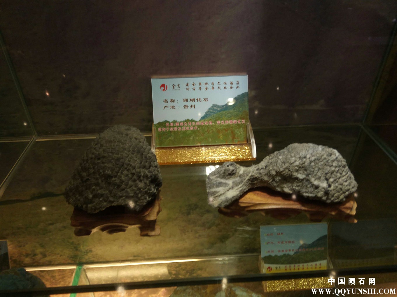 照片 200.jpg