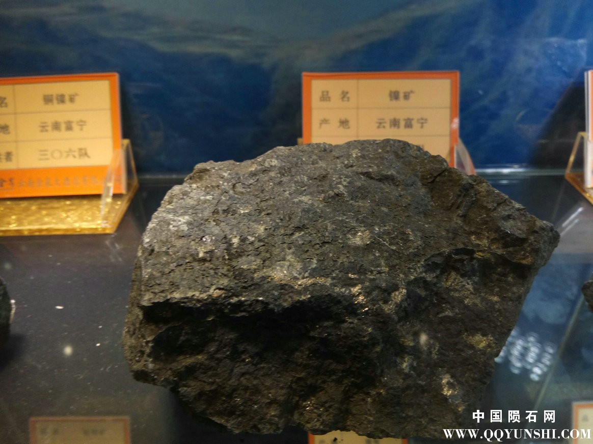 照片 207.jpg