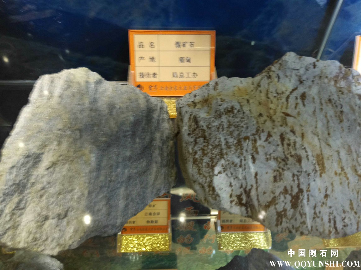 照片 208.jpg
