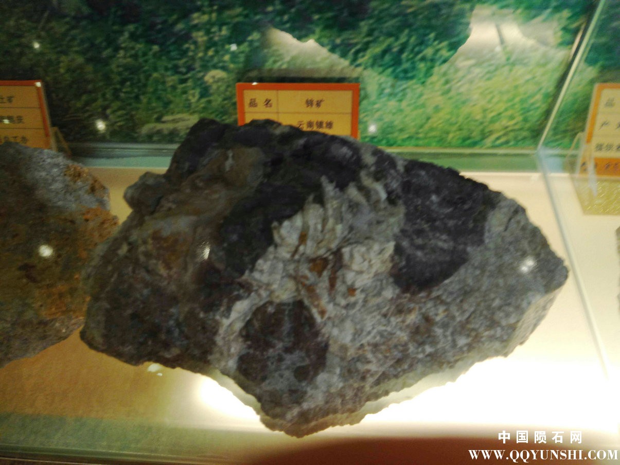 照片 213.jpg