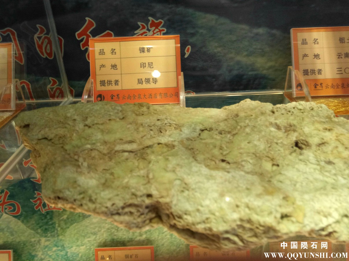 照片 216.jpg