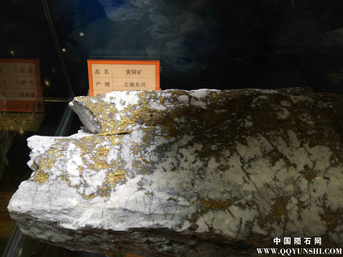 照片 218.jpg