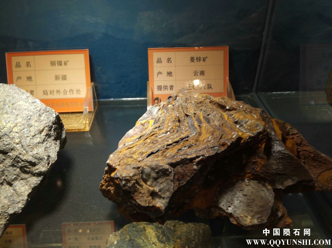 照片 223.jpg