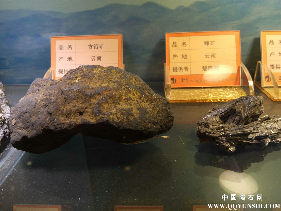 照片 237.jpg