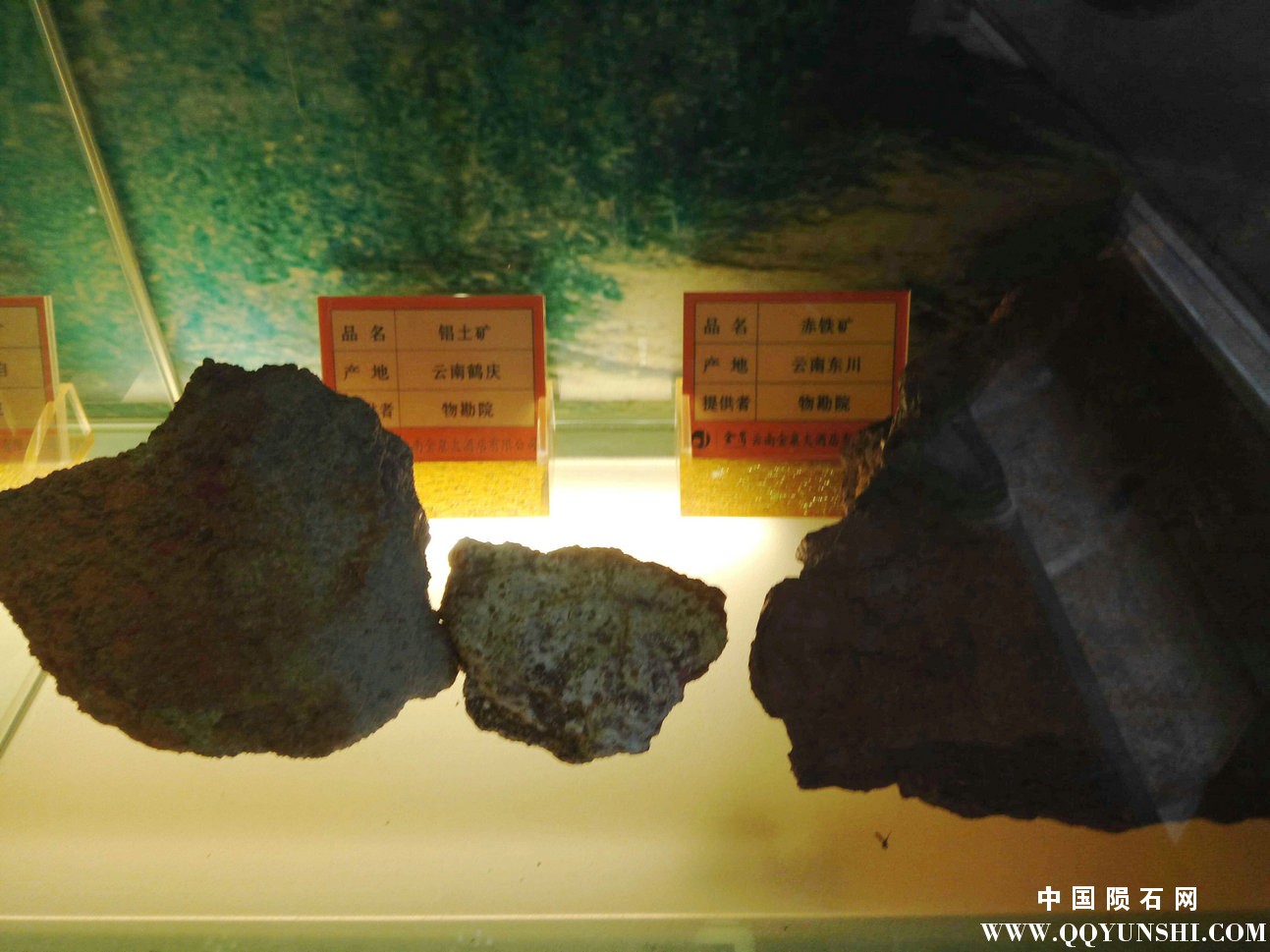 照片 241.jpg