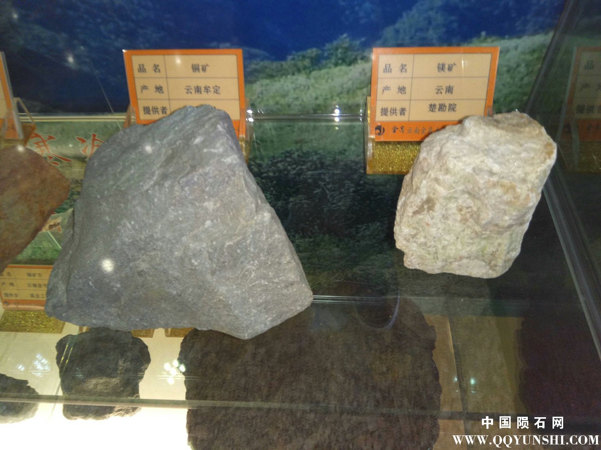 照片 247.jpg
