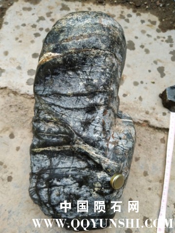 参照物侧面全图2