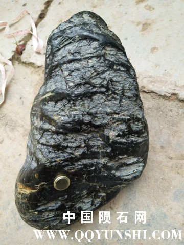 参照物侧面全图5