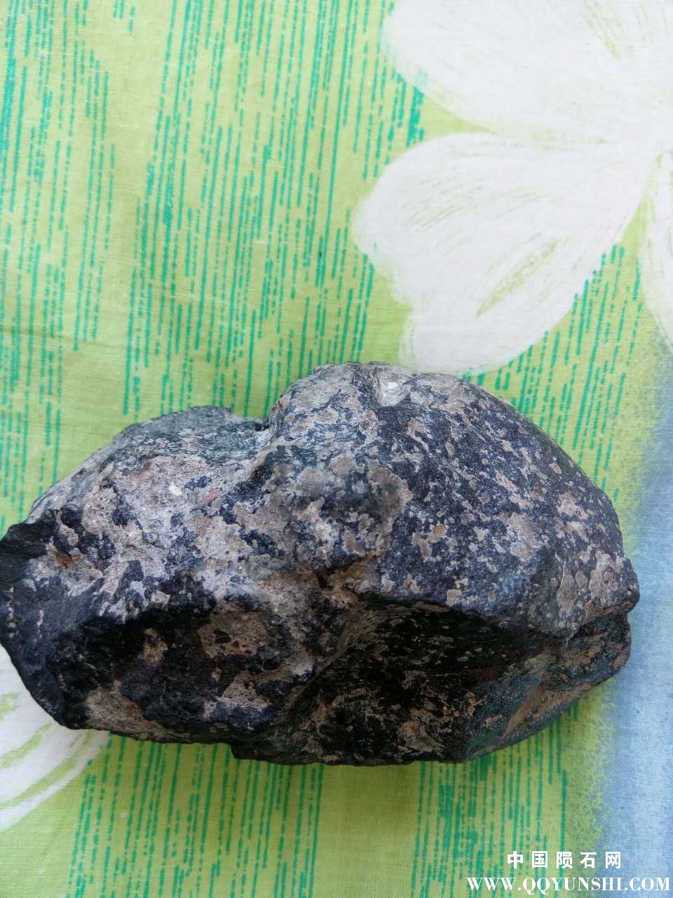 微信图片_20170721142602.jpg