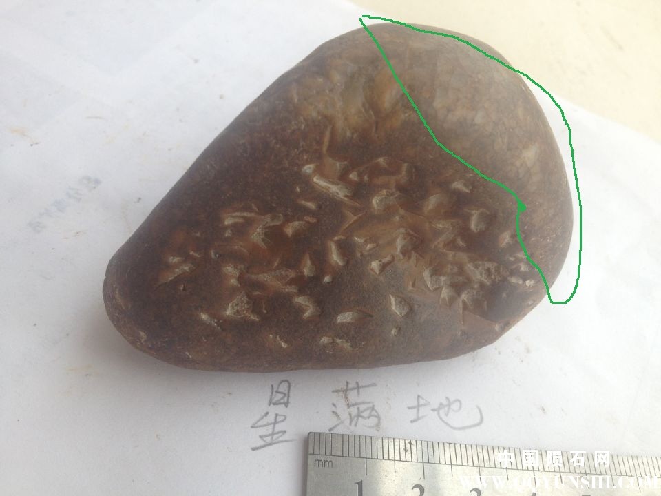 QQ图片20170805102653.jpg