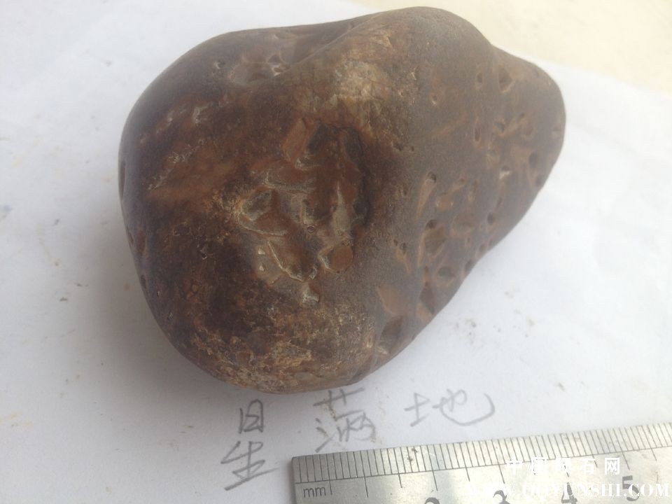 QQ图片20170805102706.jpg