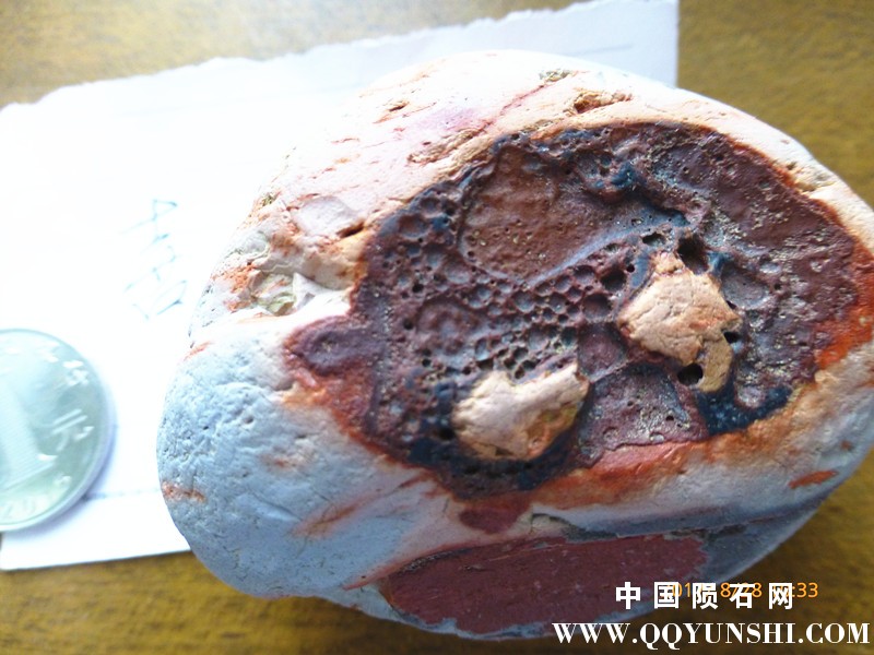 P1350317_副本.jpg