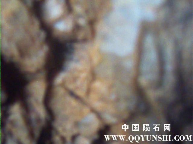 图片 008.jpg