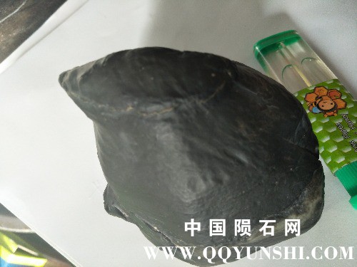 IMG20171021094325.jpg