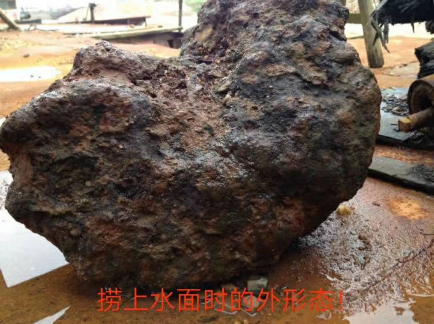 挖出水面时的照片2