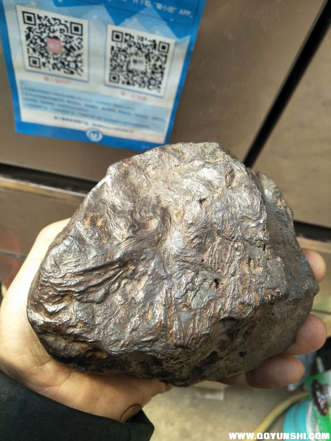 不同开窗看纹路就是维斯台登纹