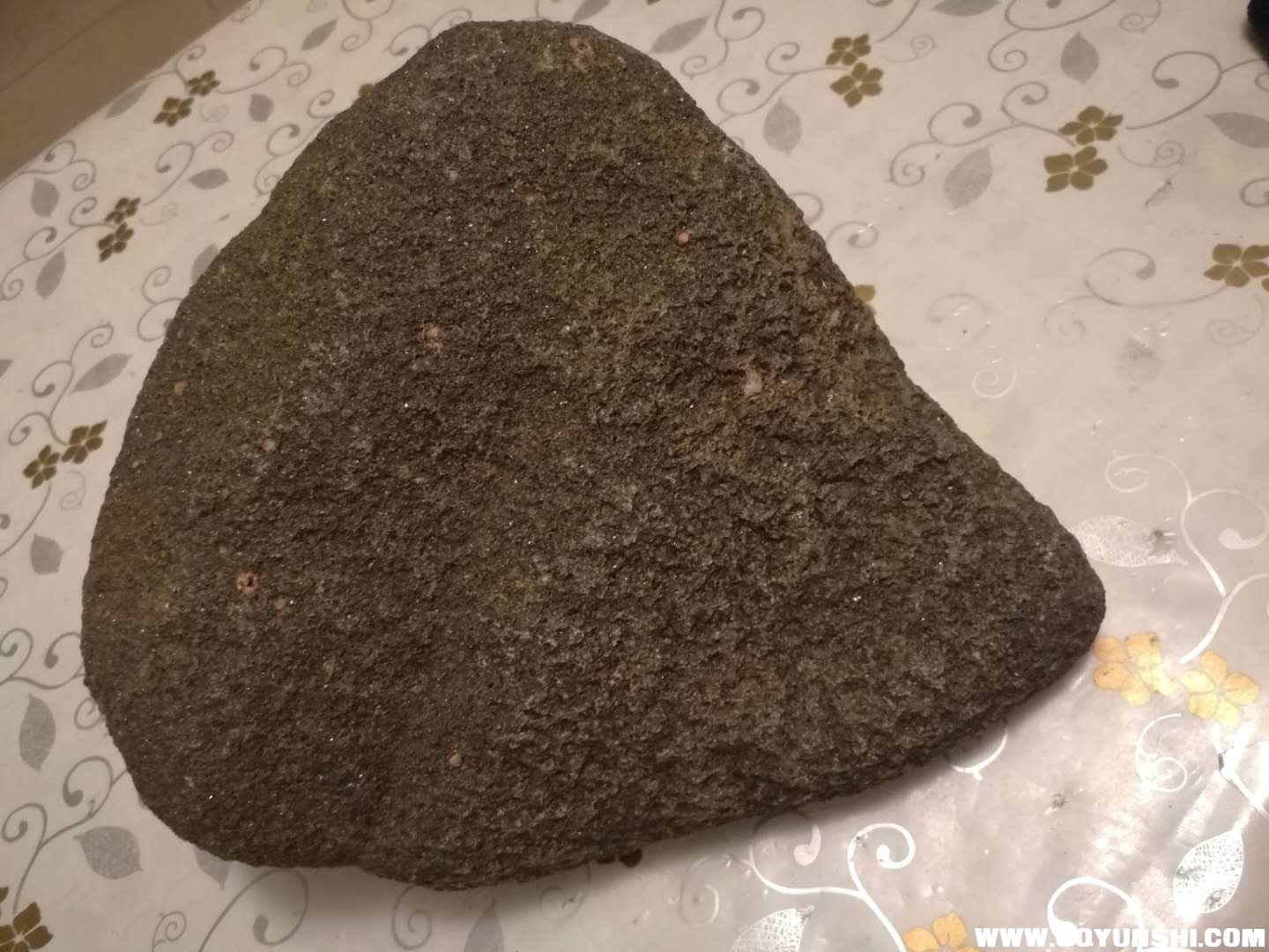 微信图片_20180227185408.jpg