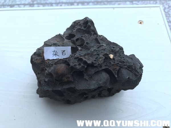 新建文件夹IMG_1263_副本.jpg